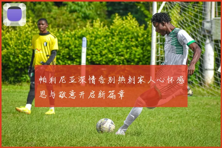 帕利尼亚深情告别热刺家人心怀感恩与敬意开启新篇章
